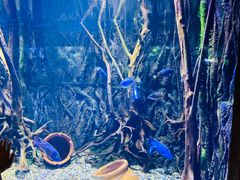 -华夏文旅海洋公园