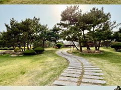 -日照灯塔风景区