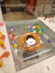 -金芙美月子中心(财富别墅店)