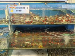 -仙螺岛海鲜自助餐厅(总店)