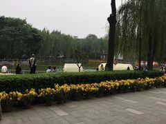 -莲湖公园