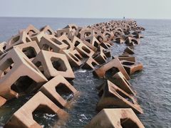 -东疆建设开发纪念公园