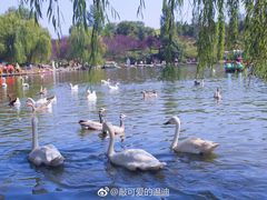 -西安秦岭野生动物园