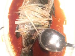 清蒸瓜子-東海海鲜酒家(中信广场店)