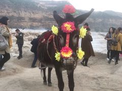 -陕西黄河壶口瀑布旅游区