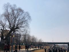 -长白岛森林公园
