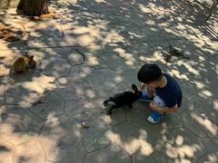-北戴河集发农业梦想王国