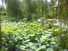 -武清南湖绿博园