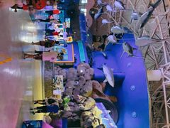 -烟台海昌鲸鲨海洋公园