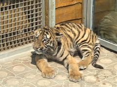 -西霞口神雕山野生动物世界