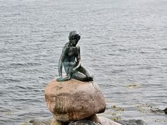 -美人鱼