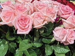 -FEI FEI FLOWER鲜花店·气球派对·宝宝宴布置(虹口德必运动Loft店)