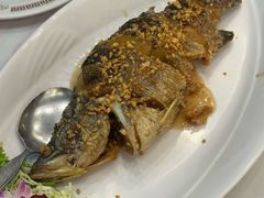 -光海鲜鱼翅餐厅(叻差拉披色路店)