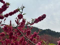 -会稽山峡洞漂流-上青古道