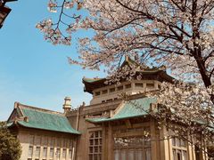 -武汉大学-樱园