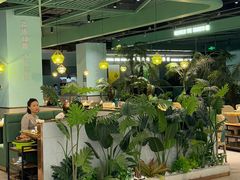 -春润大地海南椰子鸡(沙井京基百纳广场店)