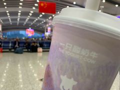 -一只酸奶牛(八一路店)