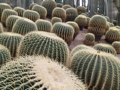 -南山植物园