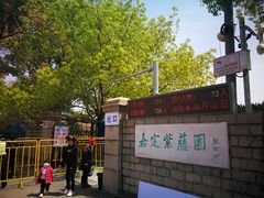 -嘉定紫藤园