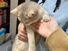 -逗柴咖啡屋·狗咖猫咖宠物桌游