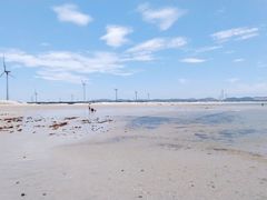 -长江澳风力发电景观区