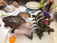 野生海鱼-德米火锅(深圳湾1号旗舰店)