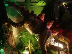 -恐龙探索乐园(磁器口店)