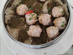 -姚林轩
