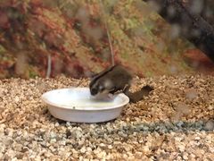 -上海大自然野生昆虫馆