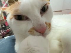 -永和大王(春日上新·凤凰东街店)