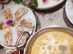 -禄婶鸡煲·打边炉