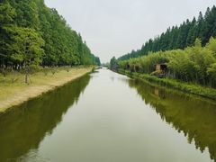 -黄海国家森林公园