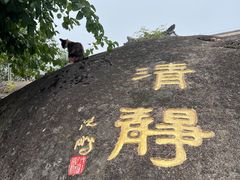 -九华山聚龙大酒店