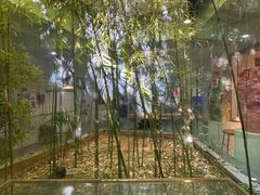 -袁亮今日陶艺(苹果社区总店)
