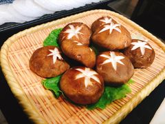 鲜香菇-鼎尊锅物料理(五角场店)