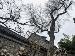 -个园
