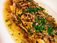 -顶特勒·黄鱼馆·特色菜(上海大世界店)