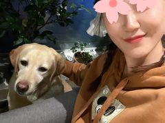 -百好乐宠物友好餐厅(朝外大街店)
