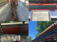 -西海子公园