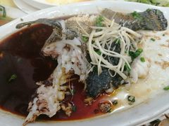 -浩海美食店(闸坡店)