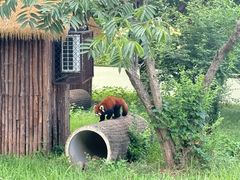 -合肥野生动物园
