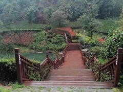 -桃花岭景区