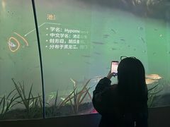 -大庆市博物馆