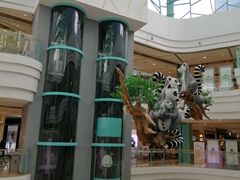 -大族广场Mall&More