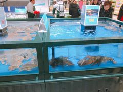 -长申超市(美食城店)