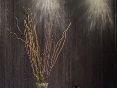 -真地道京味府·鲜橙烤鸭·北京菜(朝外大街东大桥店)