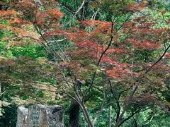 -敬亭山风景名胜区