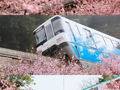 -佛图关公园