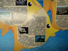 -北海海底世界