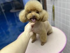 -FAELING PETS美天灵宠物(富力广场店)